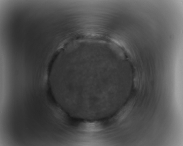 X0000088880314200706151816