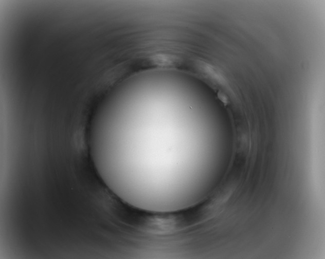 X0000088880317200706151816