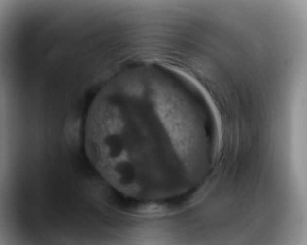 X0000088880319200706151816