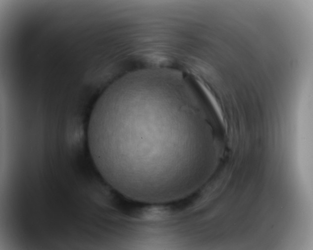 X0000088880320200706151816