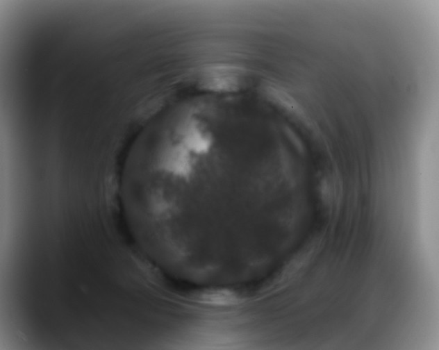 X0000088880322200706151816