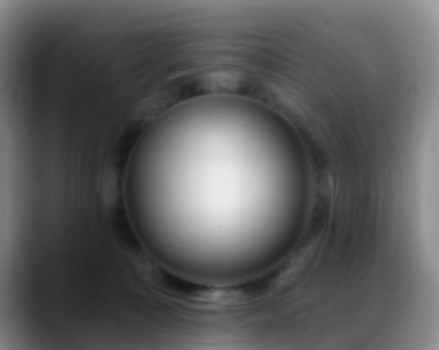 X0000088880323200706151816