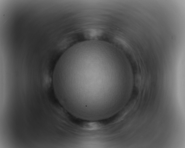 X0000088880324200706151816