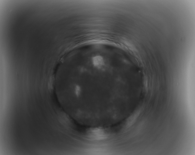 X0000088880325200706151816