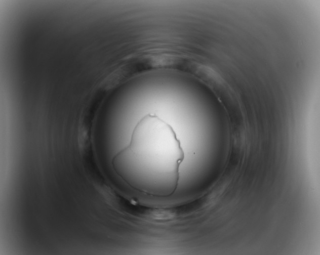 X0000088880327200706151816