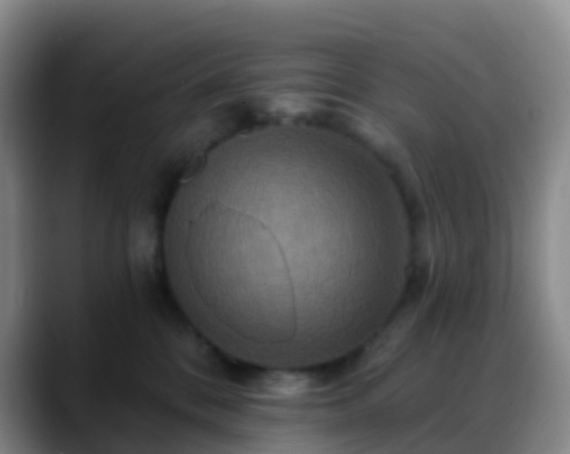 X0000088880328200706151816