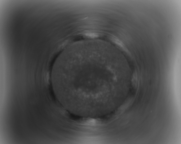 X0000088880330200706151816