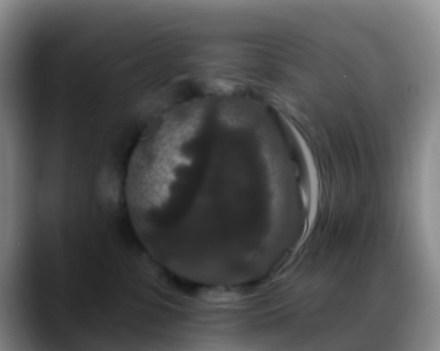 X0000088880331200706151816