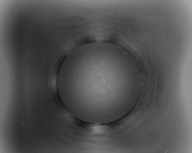 X0000088880336200706151816