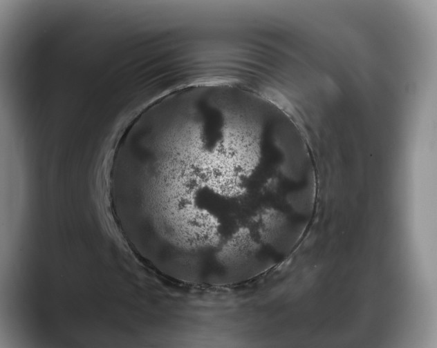 X0000088880337200706151815