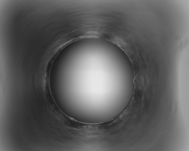 X0000088880338200706151815