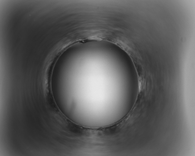 X0000088880339200706151815