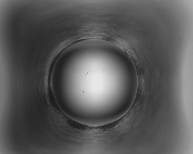 X0000088880340200706151815