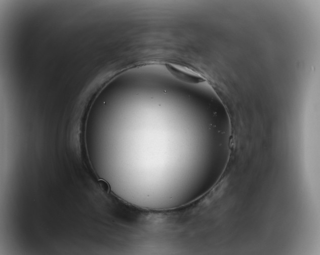 X0000088880341200706151815