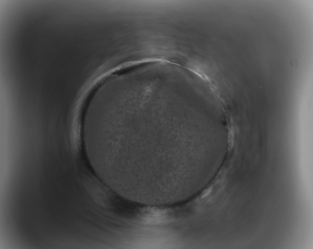 X0000088880343200706151815