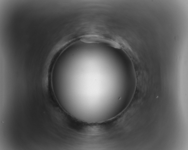 X0000088880344200706151815