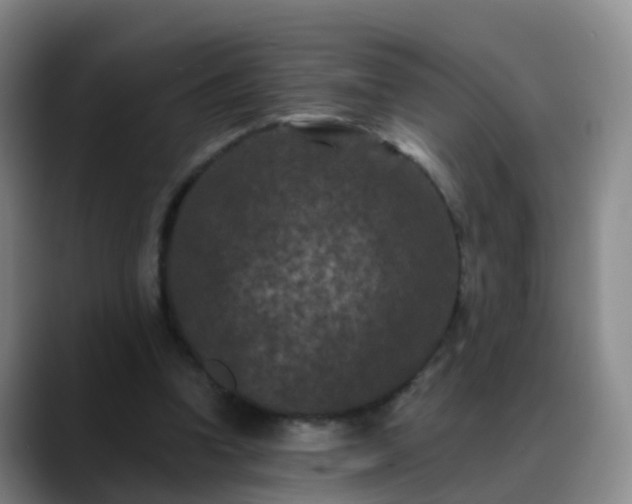 X0000088880346200706151815