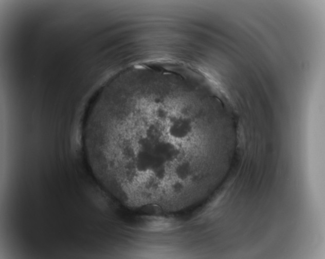 X0000088880347200706151815