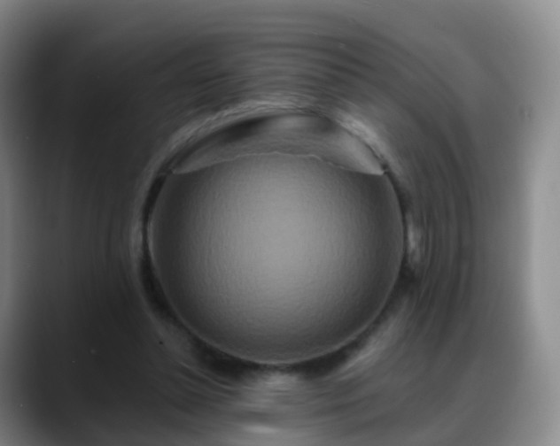 X0000088880348200706151815