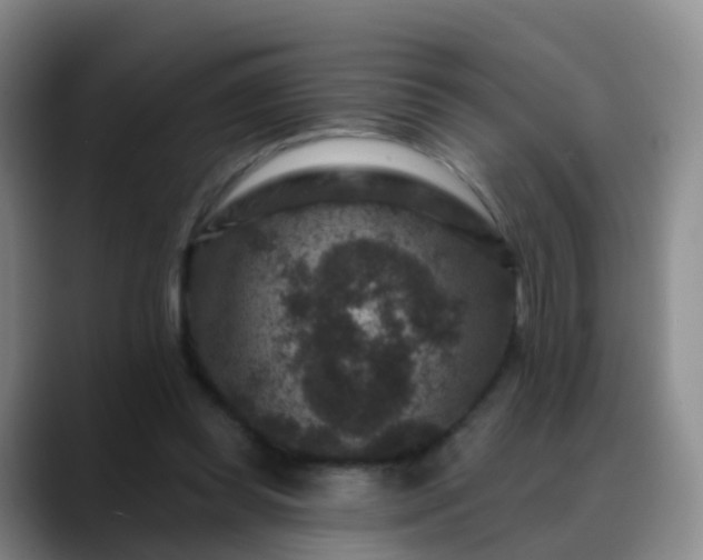 X0000088880349200706151815