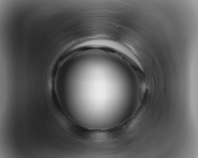 X0000088880350200706151815