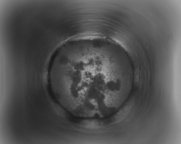 X0000088880351200706151815