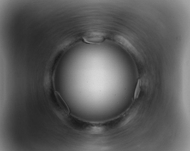 X0000088880352200706151815