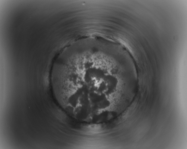 X0000088880353200706151815