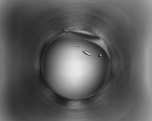 X0000088880354200706151815