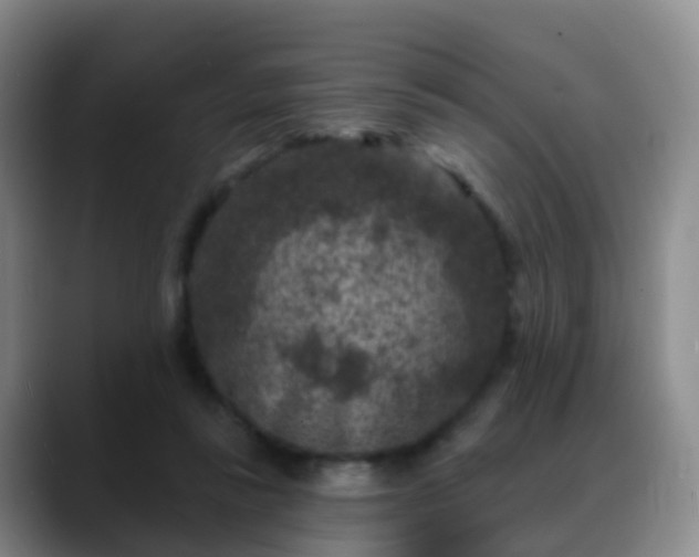 X0000088880355200706151815