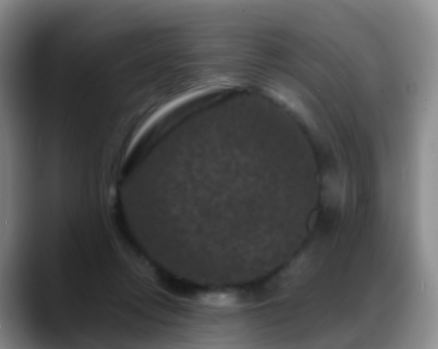 X0000088880358200706151815