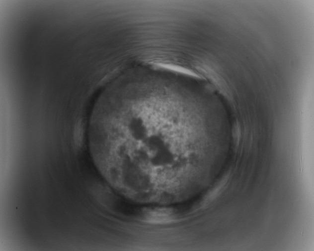 X0000088880359200706151815