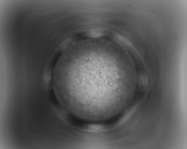 X0000088880360200706151815