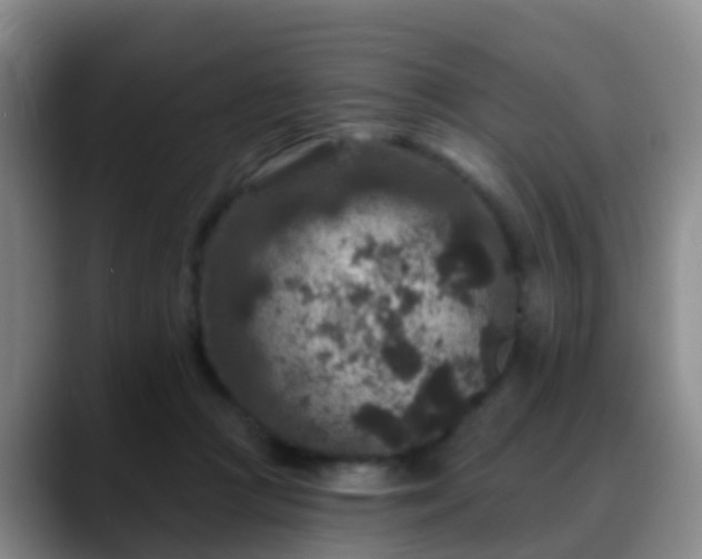 X0000088880361200706151815