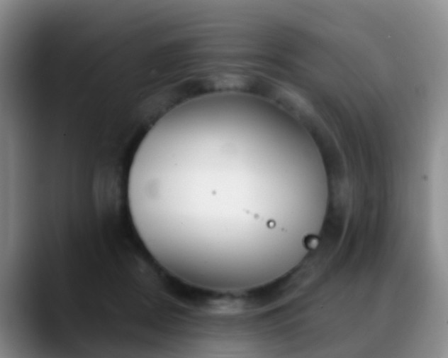 X0000088880362200706151815