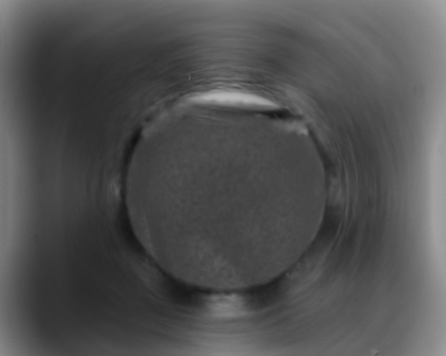 X0000088880363200706151815