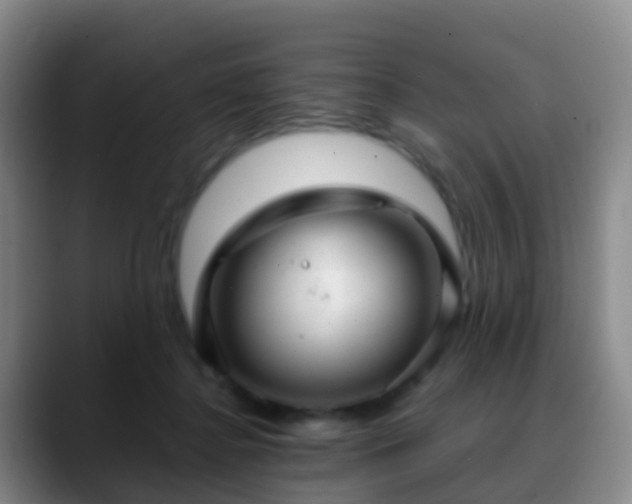 X0000088880364200706151815