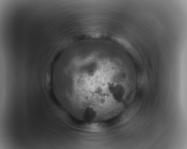 X0000088880365200706151815