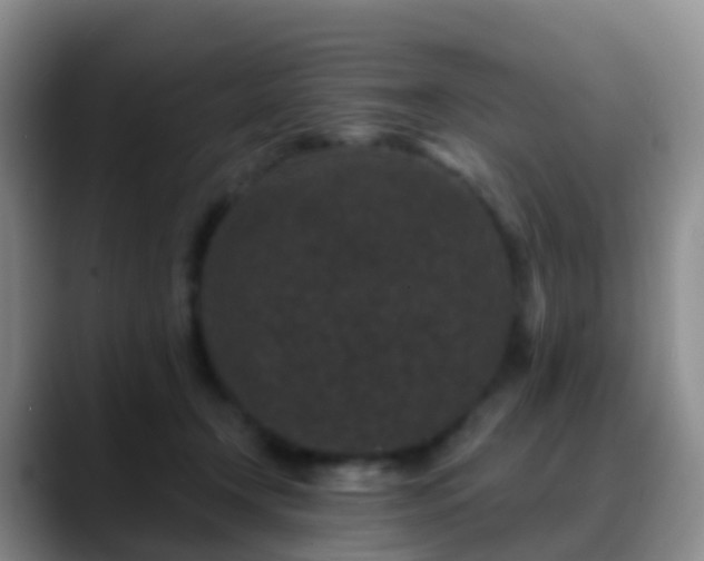 X0000088880366200706151815