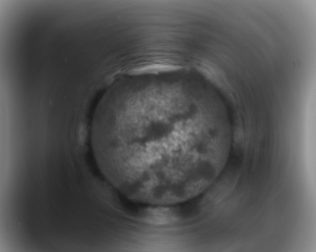 X0000088880367200706151815