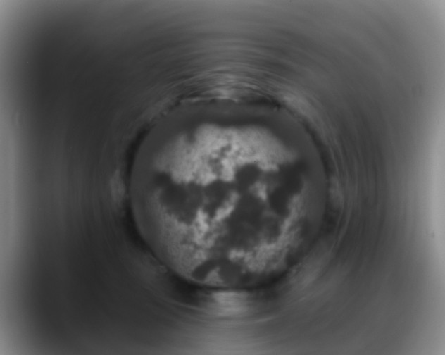 X0000088880371200706151815