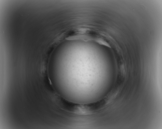 X0000088880372200706151815