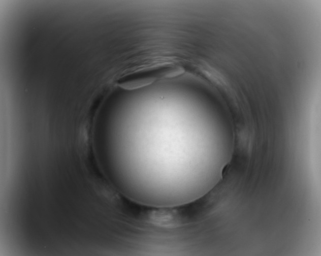 X0000088880373200706151815