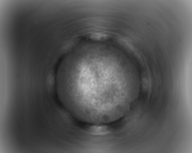 X0000088880375200706151816