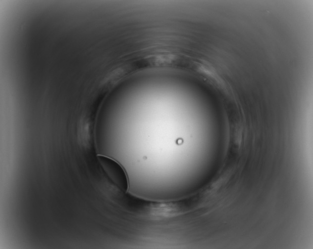 X0000088880378200706151816