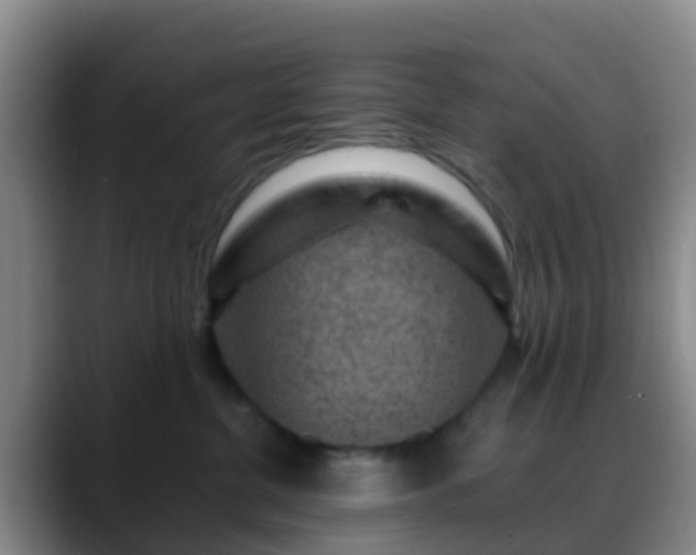 X0000088880380200706151816