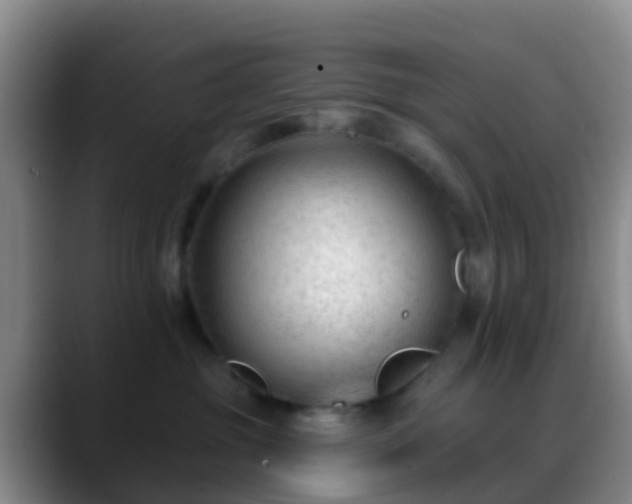 X0000088880381200706151816