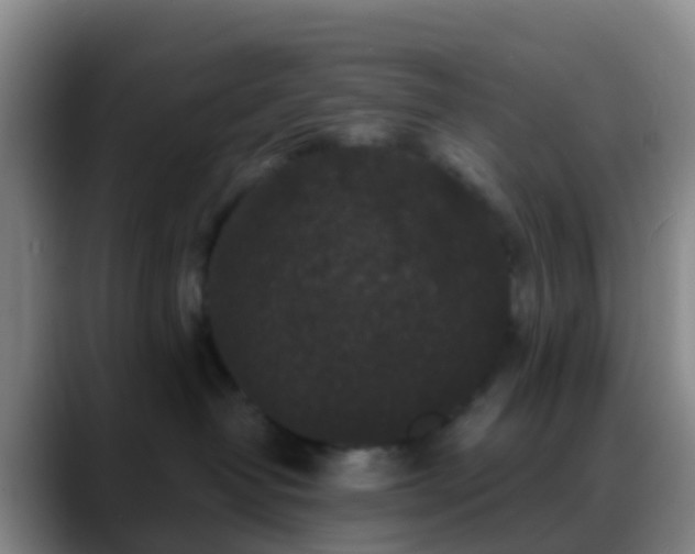 X0000088880382200706151816