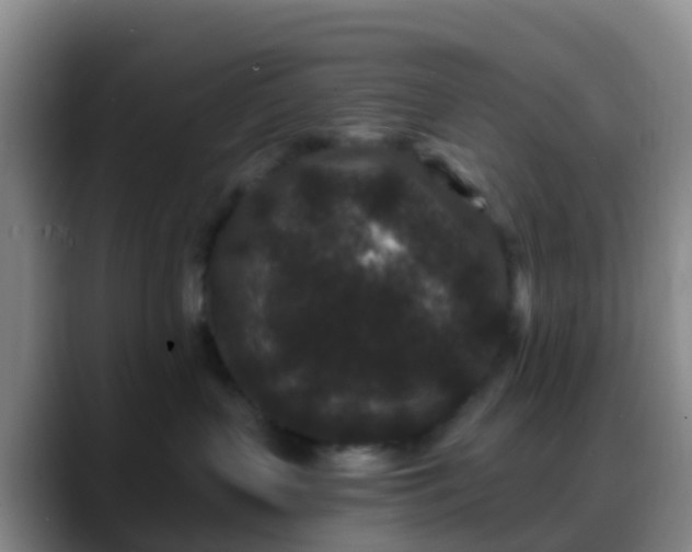 X0000088880383200706151816