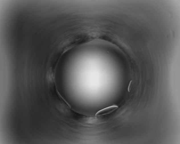 X0000088880384200706151816